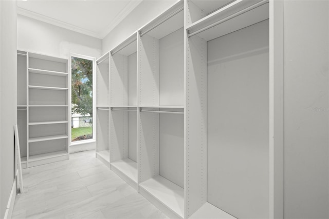 view of walk in closet