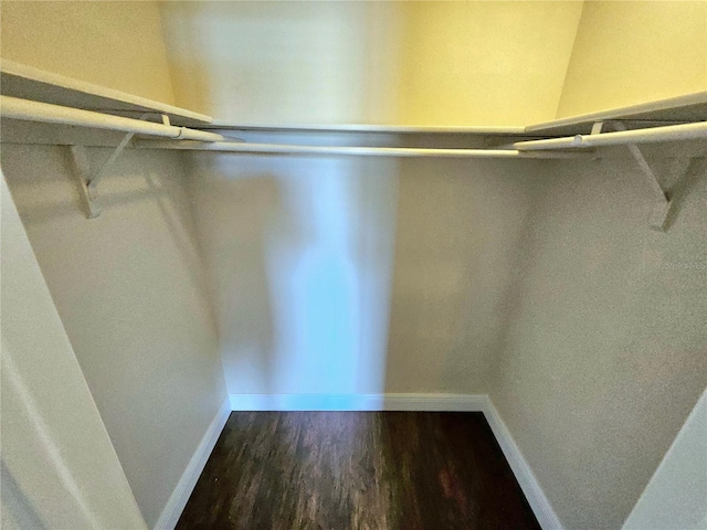 spacious closet featuring dark hardwood / wood-style flooring