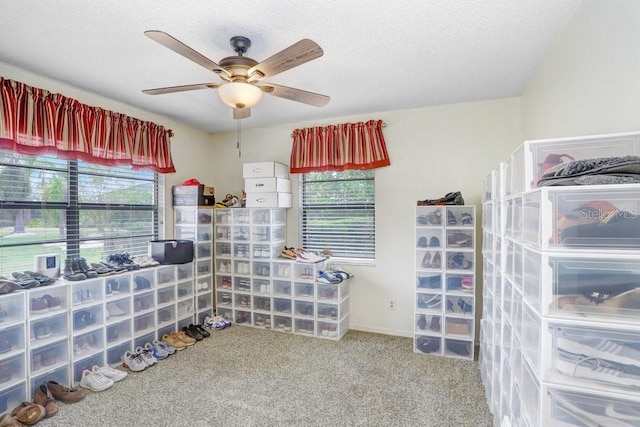 interior space with carpet floors and ceiling fan