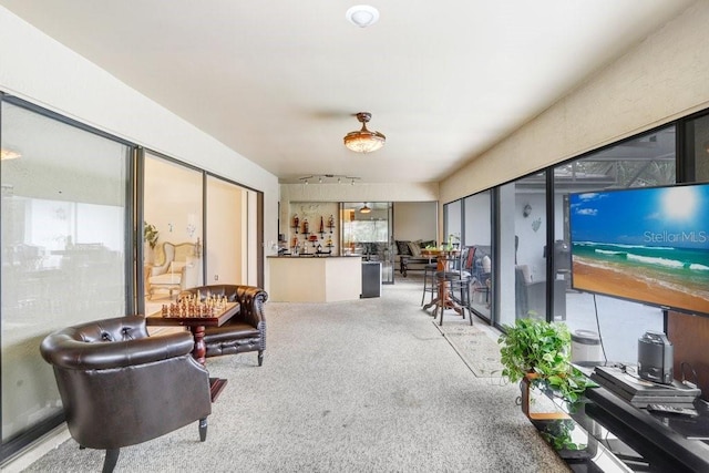 living room featuring carpet floors and a healthy amount of sunlight