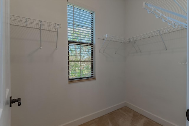 walk in closet featuring carpet