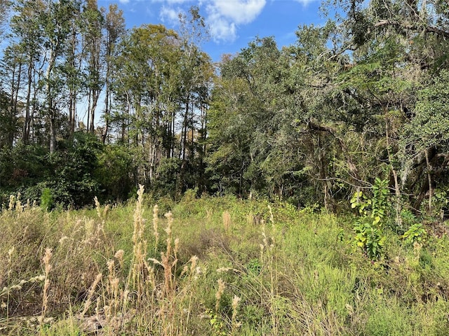 12707 Oconee Blvd, New Port Richey FL, 34654 land for sale