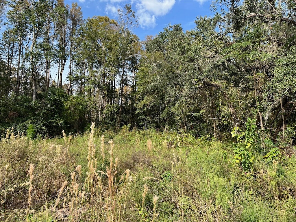 12707 Oconee Blvd, New Port Richey, FL 34654