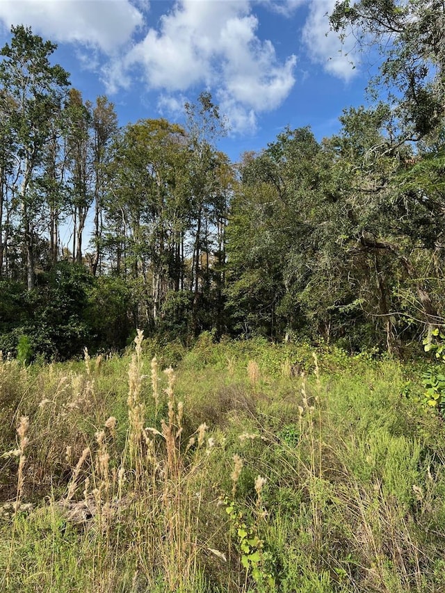 12707 Oconee Blvd, New Port Richey, FL 34654