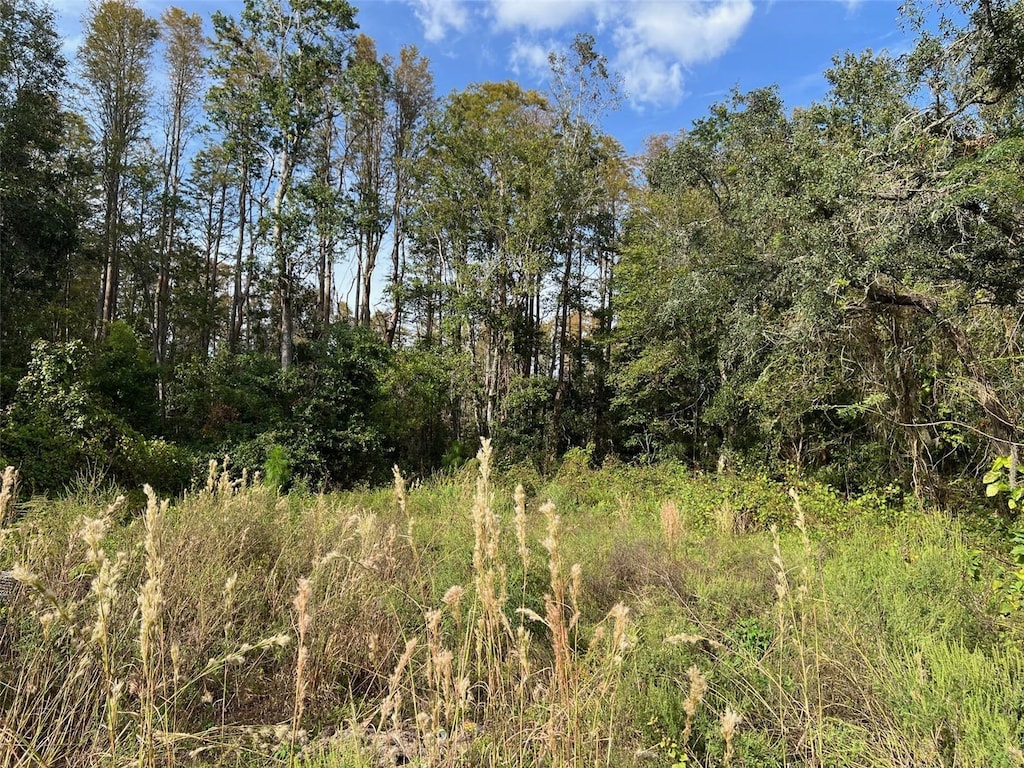 12707 Oconee Blvd, New Port Richey, FL 34654