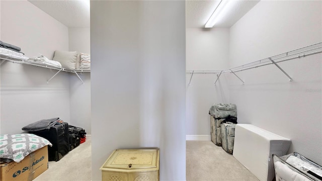 walk in closet with light colored carpet