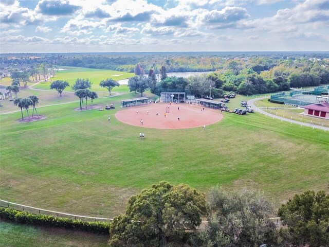 aerial view