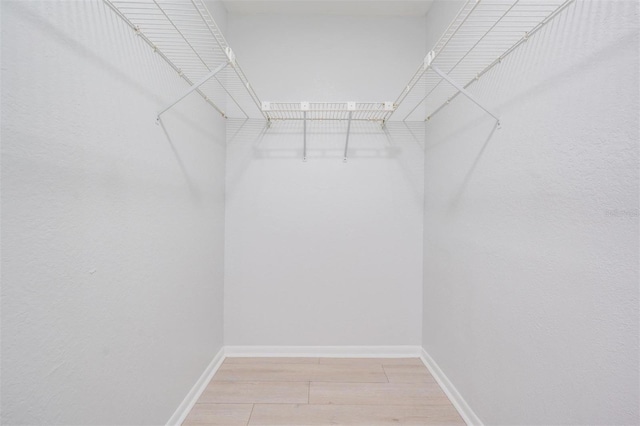 spacious closet featuring light wood-type flooring