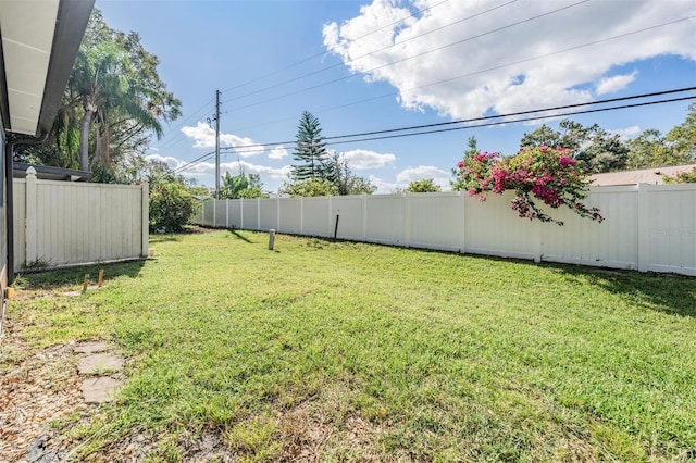 2582 Bentley Dr, Palm Harbor, FL 34684 - view of yard