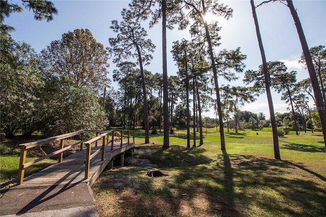 view of community featuring a yard