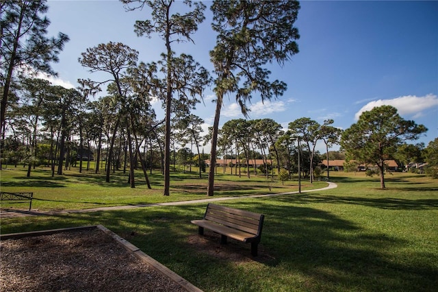 view of home's community featuring a yard