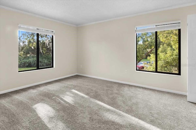 carpeted spare room featuring ornamental molding, a textured ceiling, and a wealth of natural light