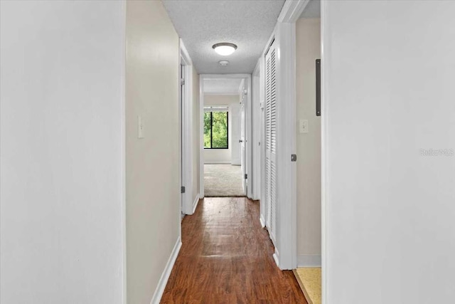1127 Pine Ridge Cir W Unit A2, Tarpon Springs, FL 34688 - hallway featuring baseboards, wood finished floors, and a textured ceiling