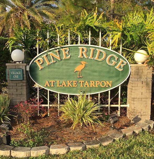 1127 Pine Ridge Cir W Unit A2, Tarpon Springs, FL 34688 - view of community / neighborhood sign