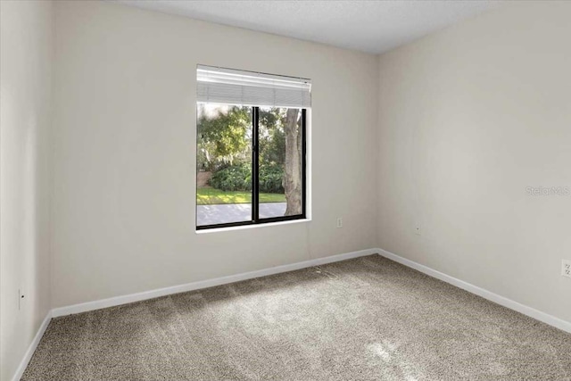 1127 Pine Ridge Cir W Unit A2, Tarpon Springs, FL 34688 - photo 11