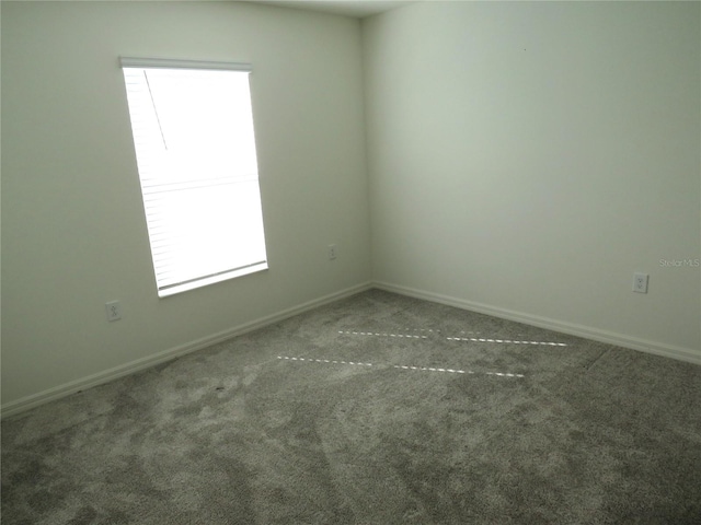 empty room with carpet floors and a healthy amount of sunlight