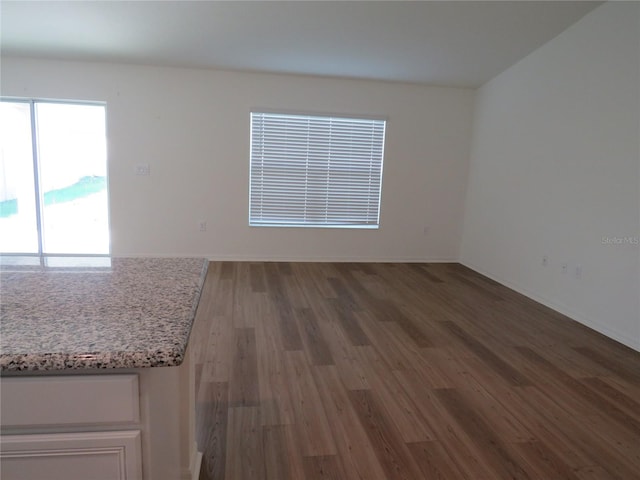 empty room featuring dark hardwood / wood-style flooring