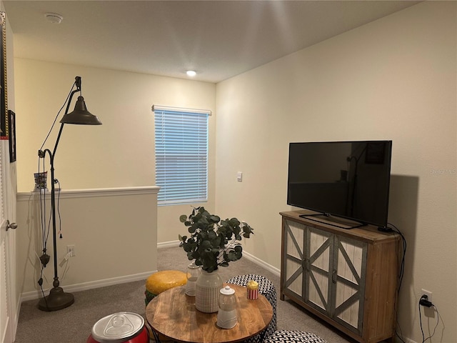 interior space with carpet floors