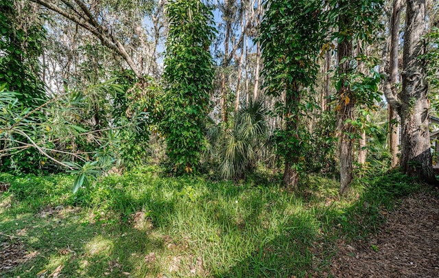 view of landscape featuring a wooded view