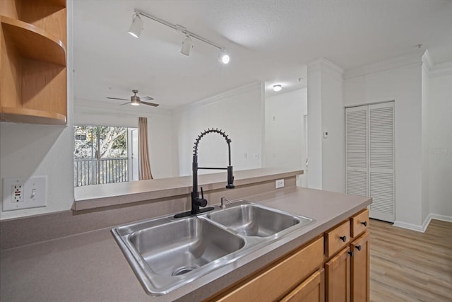 kitchen with rail lighting, sink, light hardwood / wood-style flooring, ceiling fan, and ornamental molding