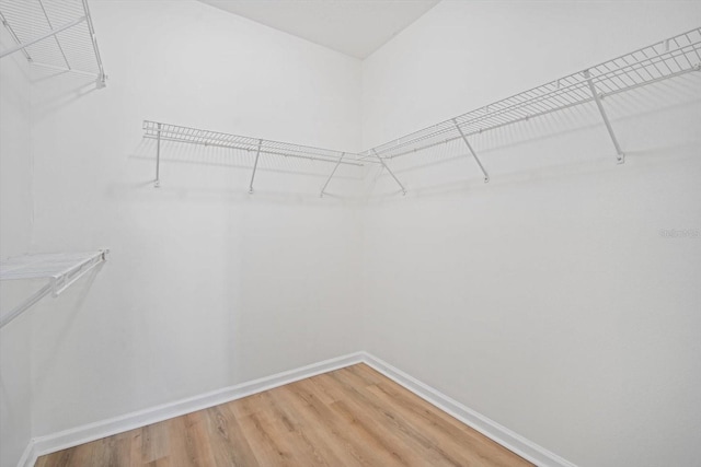 walk in closet with hardwood / wood-style flooring