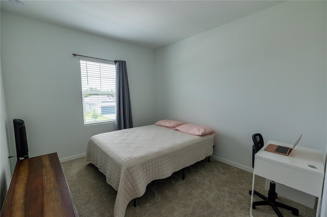 11834 Brighton Knoll Loop, Riverview, FL 33579 - bedroom featuring carpet and a desk