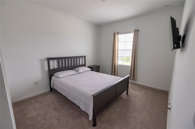 11834 Brighton Knoll Loop, Riverview, FL 33579 - carpeted bedroom with baseboards