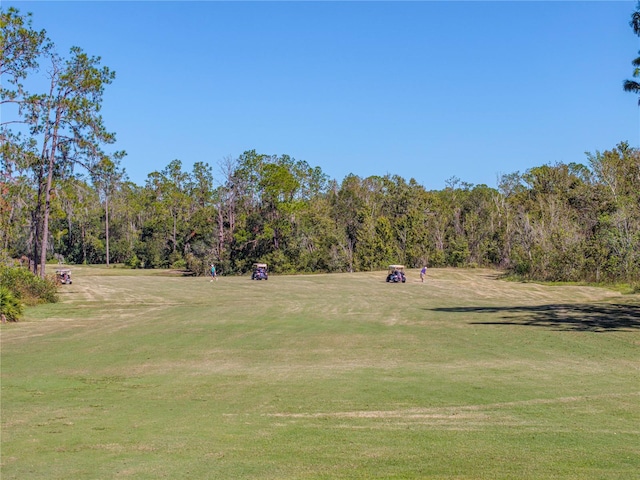 surrounding community with a lawn