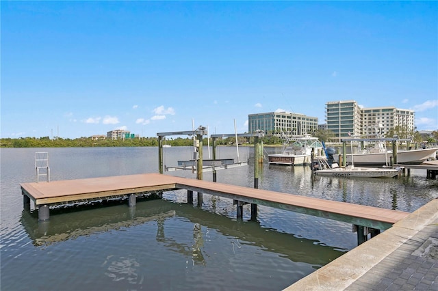 dock area featuring a water view