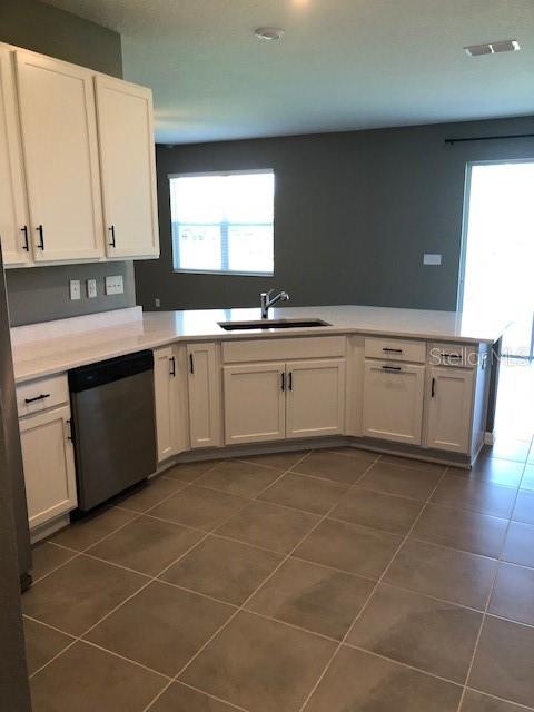 kitchen featuring white cabinets, stainless steel dishwasher, and sink