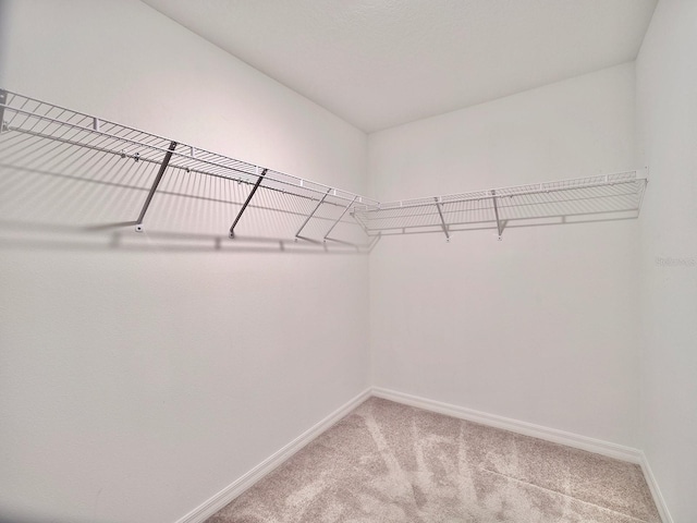 spacious closet featuring light carpet