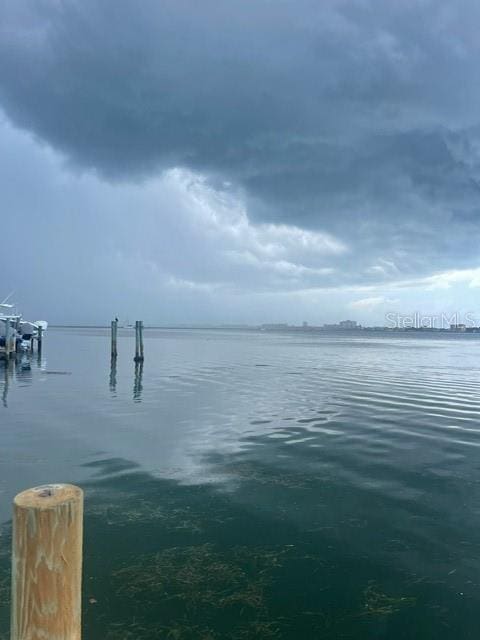 property view of water with a dock