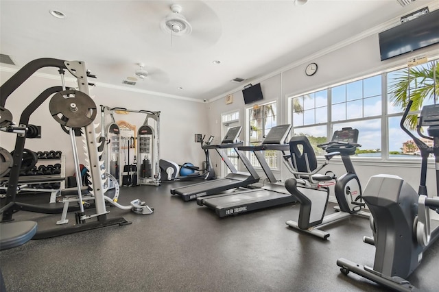 exercise room with ceiling fan and ornamental molding