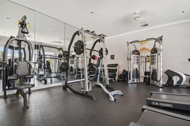 exercise room with ceiling fan and crown molding