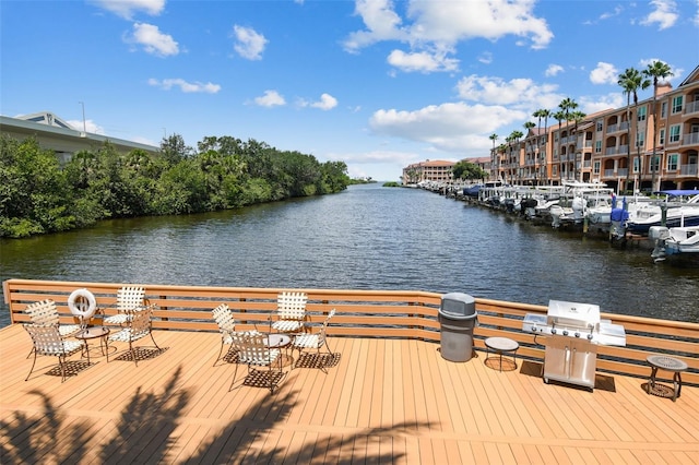 dock area with a water view