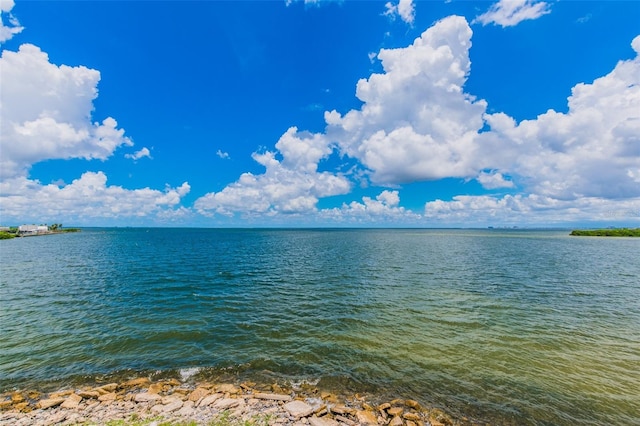 view of water feature