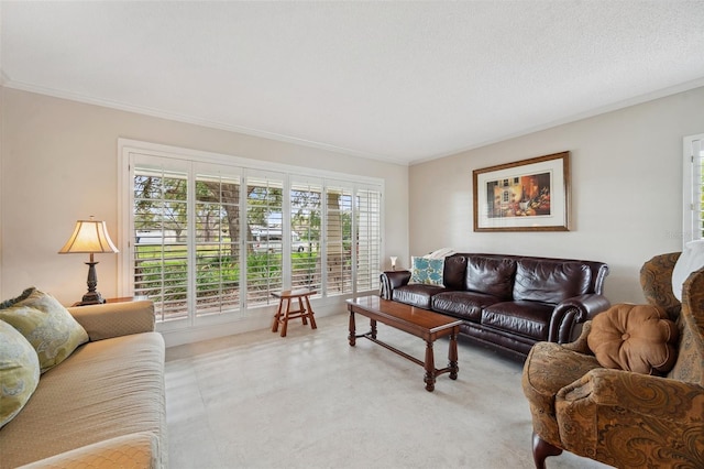 living area featuring ornamental molding and a textured ceiling