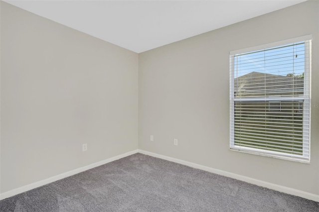 empty room featuring carpet