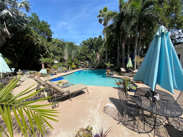 view of swimming pool featuring a patio