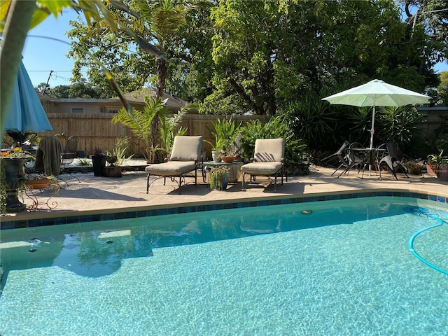 view of swimming pool