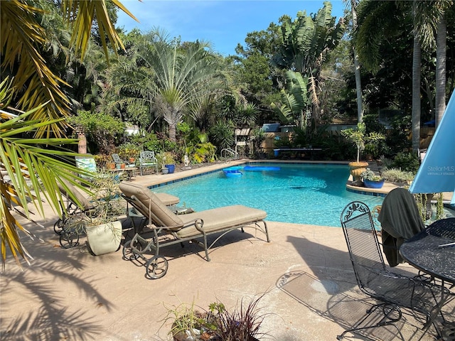 view of swimming pool featuring a patio