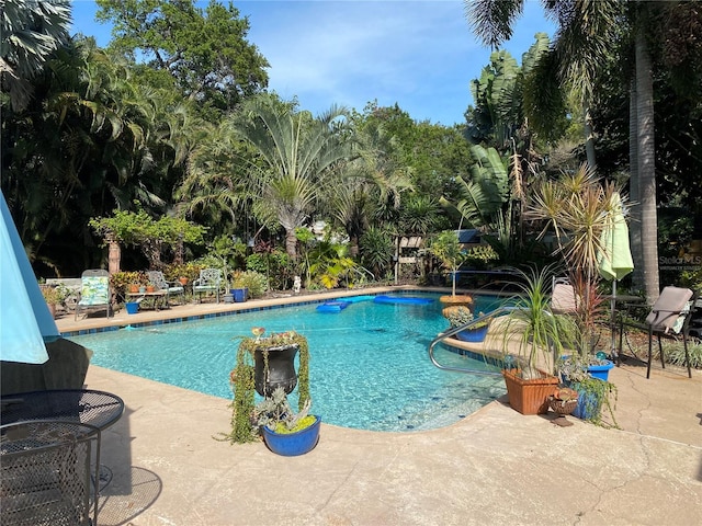 view of swimming pool with a patio area