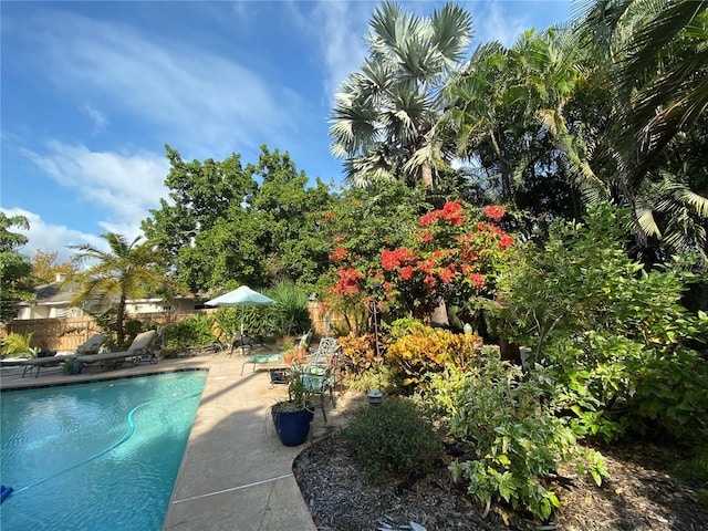 view of pool with a patio