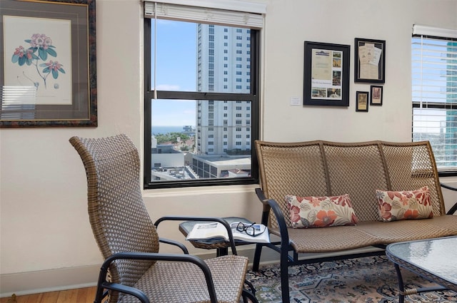 living area featuring a wealth of natural light and hardwood / wood-style floors