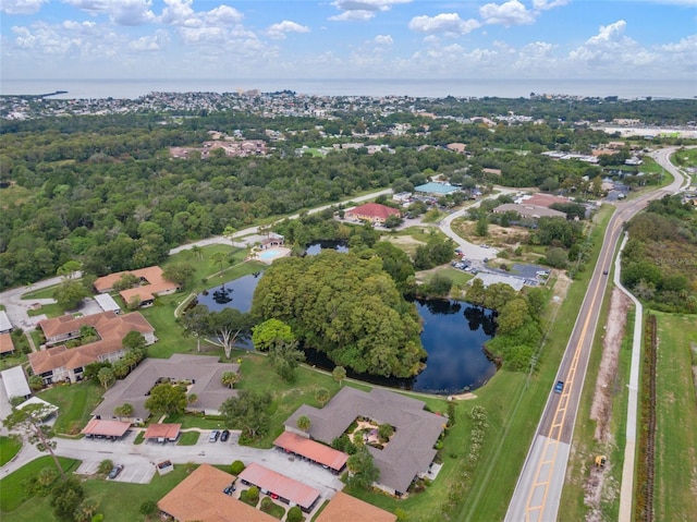 aerial view with a water view