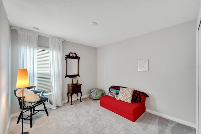 living area with light colored carpet