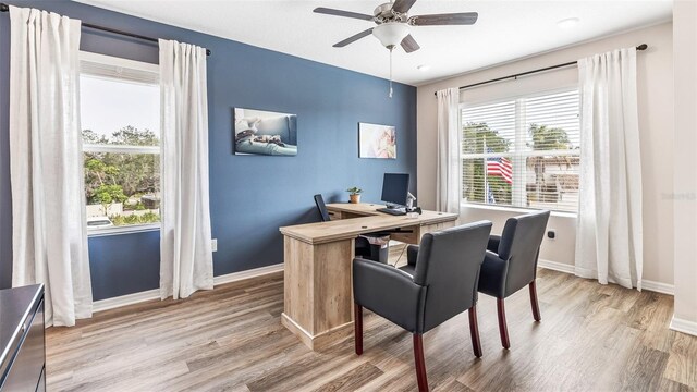 office featuring wood-type flooring and ceiling fan