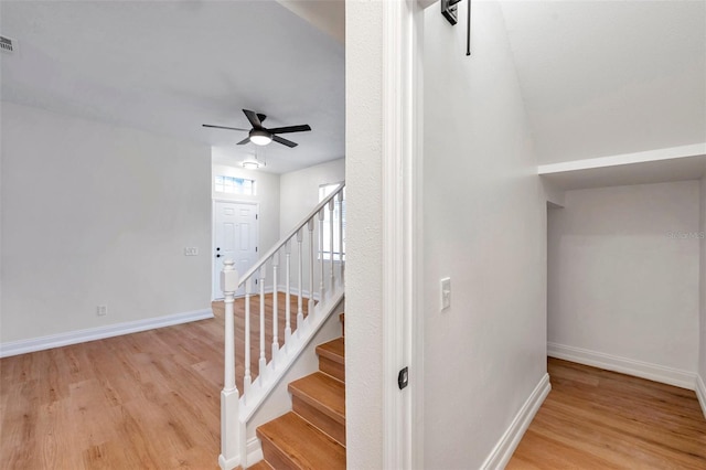 stairway featuring hardwood / wood-style floors and ceiling fan