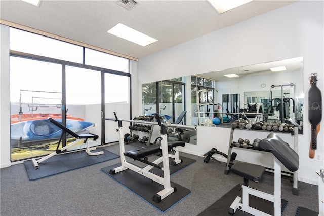 exercise room featuring floor to ceiling windows