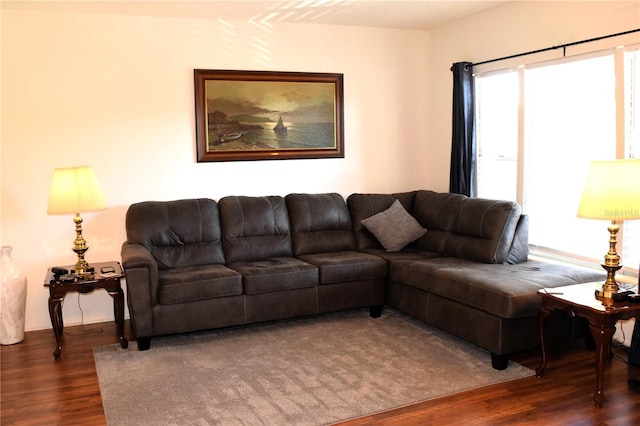 living room featuring dark wood-type flooring